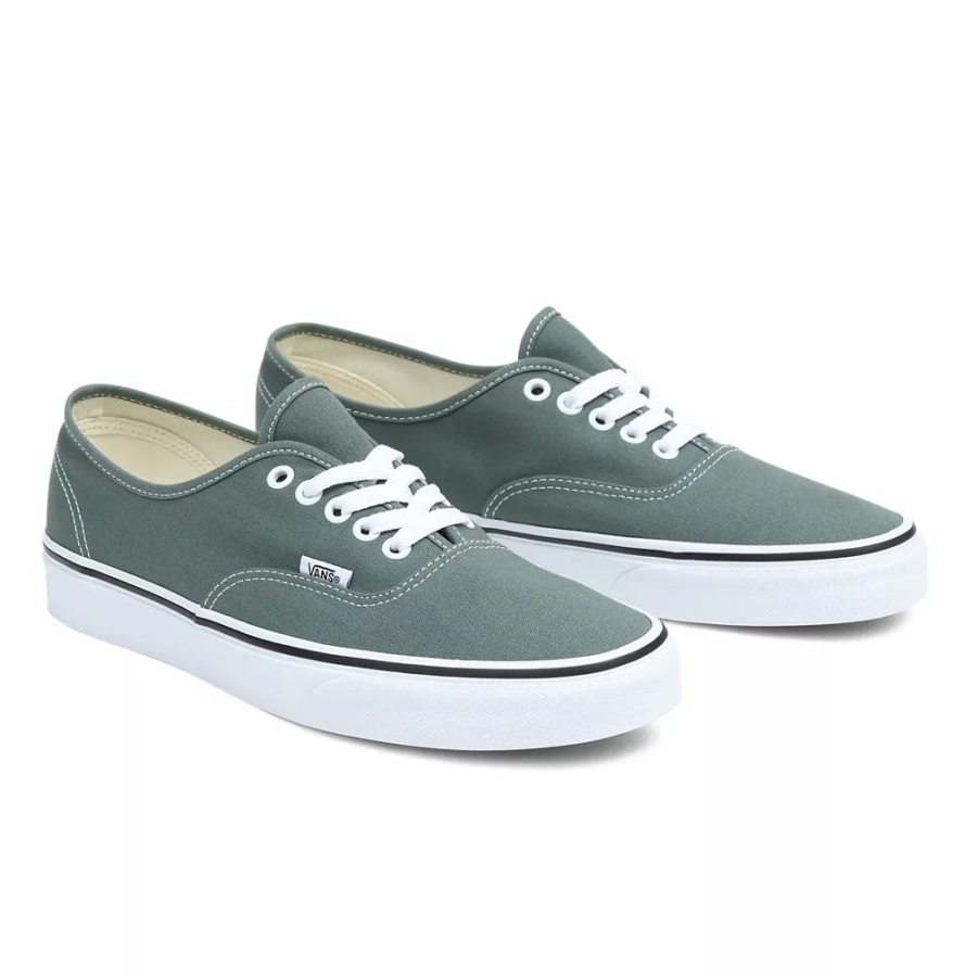 Vans Color Theory Authentic Shoes Green